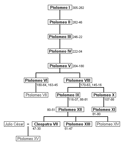 Árbol genealógico de la dinastía ptoloméica