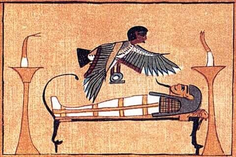 La representación del ba es una cigüeña africana o jabiru, o bien un ave con cabeza humana.