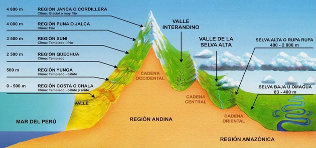 Esquema transversal de las ocho regiones geográficas de Perú, actual país ubicado en el epicentro del imperio Inca.
