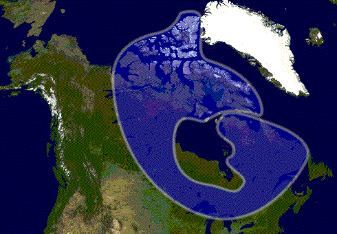 El Escudo Canadiense es el basamento de casi todo el Ártico canadiense