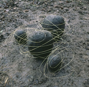 Andy Goldsworthy “land art”