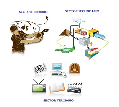 Sectores Económicos