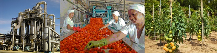 Capital, trabajo, tierra