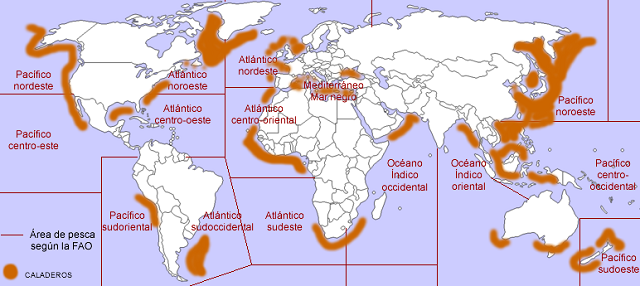 Distribución de los caladeros o bancos pesqueros en el mundo