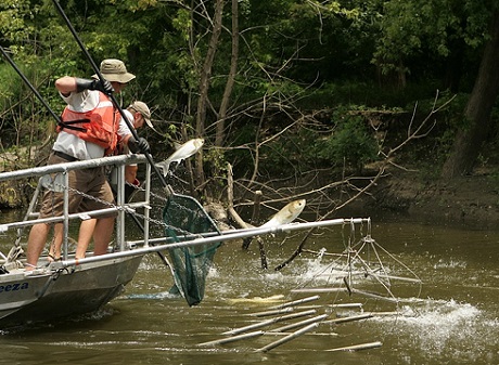 La pesca eléctrica es una técnica de captura de peces en el que se utiliza la corriente eléctrica