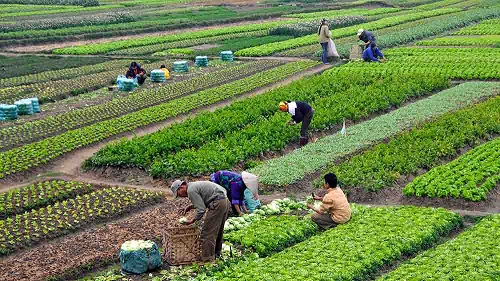 La superficie cultivable depende de varios factores