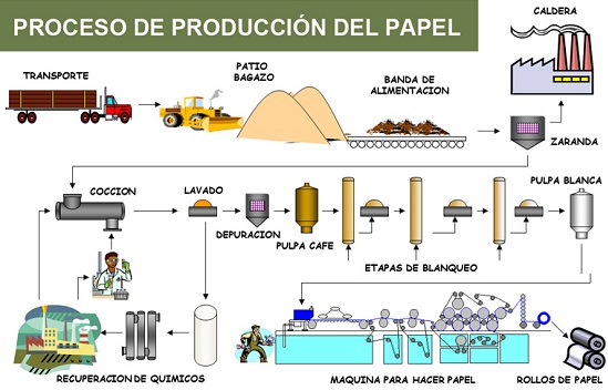 Proceso de producción del papel