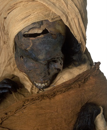Momia del faraón Seqenenra-Taa II