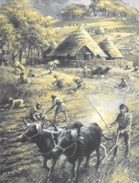 Agricultura celta