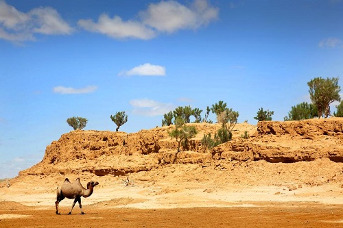 Desierto de Gobi