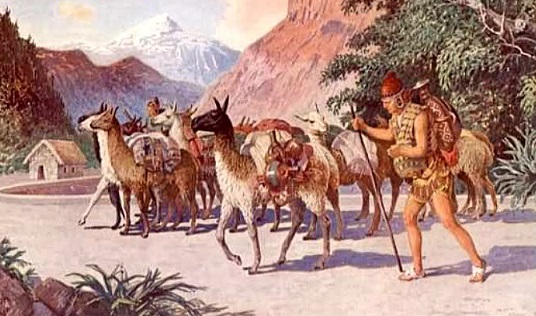 Ganadería de los incas