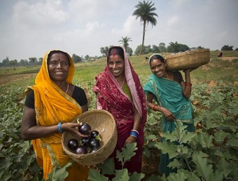 mujeres campesinas hindús