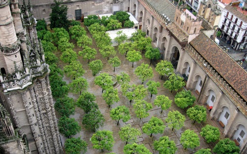 Patio de los naranjos