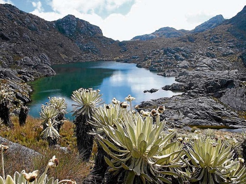 images/entretenimiento/turismo/bogota/paramo_sumapaz.jpg