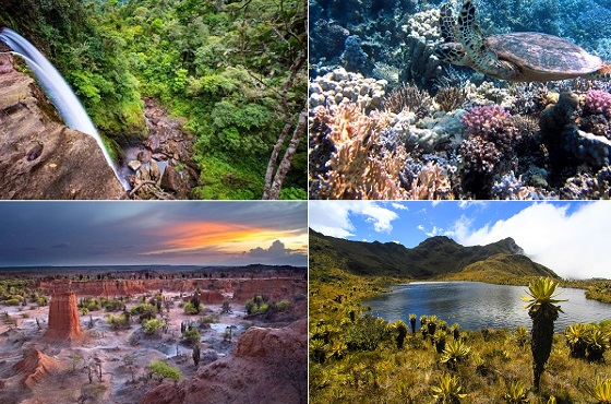Los ecosistemas en Colombia