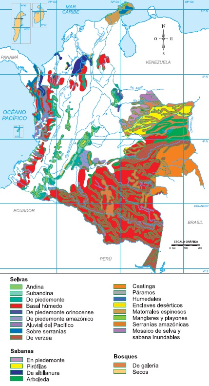 Mapa de Colombia que muestra la cobertura de vegetación actual
