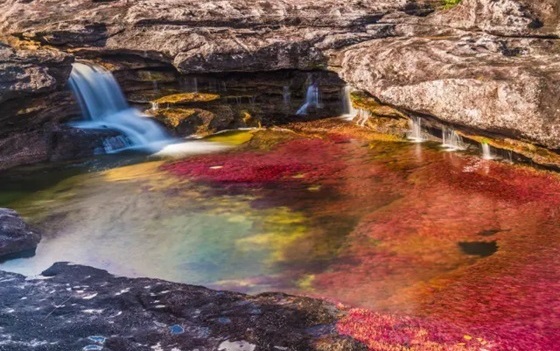 río Caño Cristales