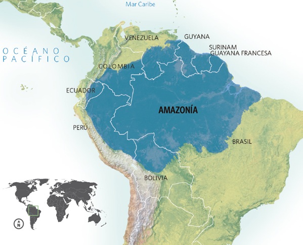 La cuenca Amazónica La cuenca Amazónica