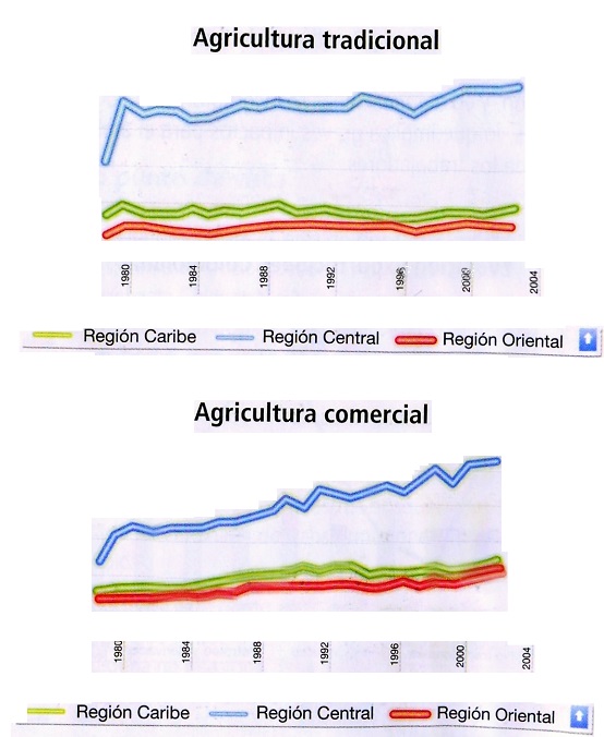 Agricultura tradicional - Agricultura comercial