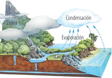 Ilustración que muestra el fenómeno de la lluvia