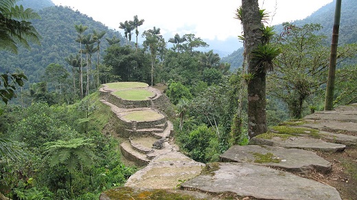 Paisaje indígena: Camino indígena en la Sierra Nevada de Santa Marta, Colombia.