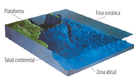 Formas del relieve submarino