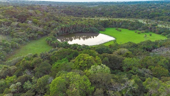 Los Llanos del Yarí Los Llanos del Yarí