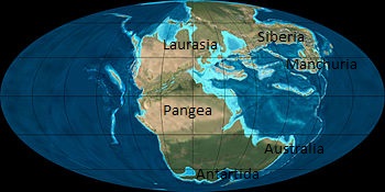 Pangea