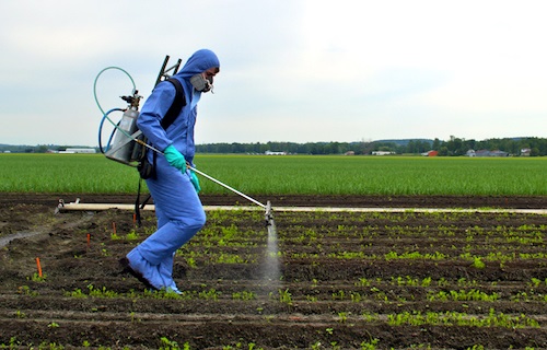 Uso de los pesticidas