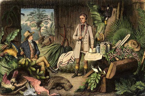  Ilustración de Humbolt en un campamento