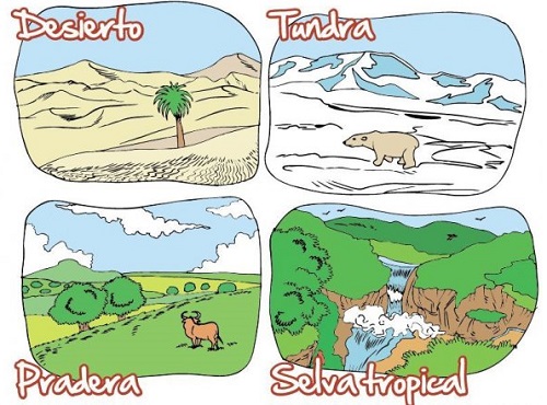Macroecosistemas o biomas Macroecosistemas o biomas