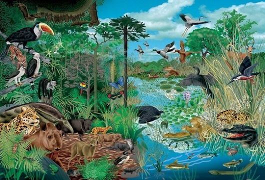 Ecosistemas terrestres y acuáticos Ecosistemas terrestres y acuáticos