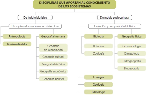 Mapa conceptual de las disciplinas que ayudan al estudio de los ecosistemas