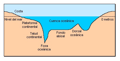 Estructura oceánica 