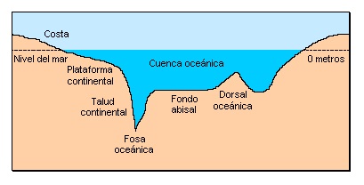 Estructura oceánica 