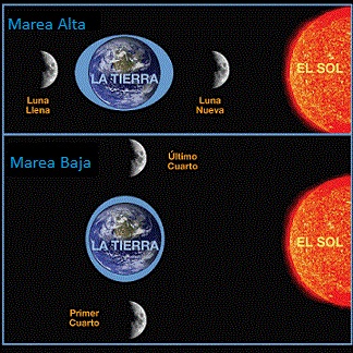 Marea Alta Y Marea Baja 