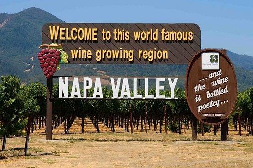 Napa Valley, región vinícola