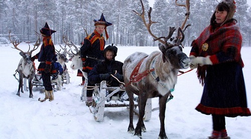 Samis o lapones con sus renos en la región de Laponia