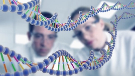 El descubrimiento del ADN
