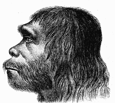 La primera reconstrucción del Hombre de Neandertal en 1888.