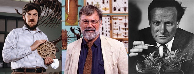 Stephen Jay Gould, Niles Eldredge y George Ledyard Stebbins.