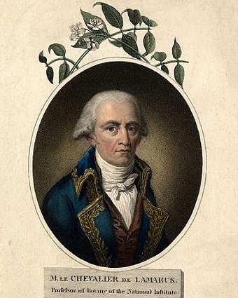 Jean Baptiste Pierre Antoine de Lamarck
