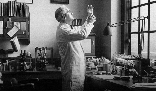 Alexander Fleming 