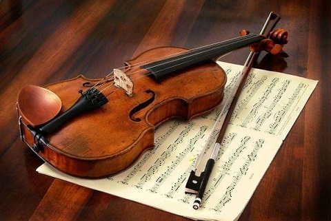 Violín