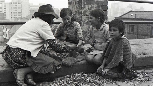 Población colombiana a comienzos del siglo XX Población colombiana a comienzos del siglo XX
