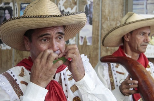 La hojita de guayabo o naranjo. Instrumento musical.