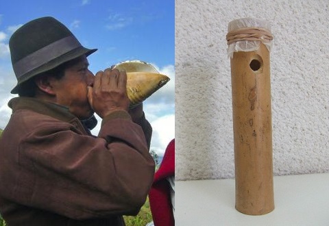 Caracol marino y Mirlitón. Instrumentos musicales