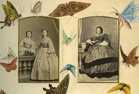 Tarjetas de visita femeninas coleccionadas en un álbum adornado con mariposas.