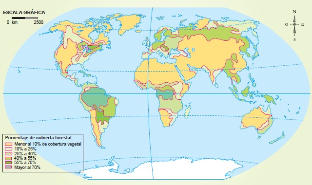Mapamundi que muestra el estado actual de los bosques del planeta