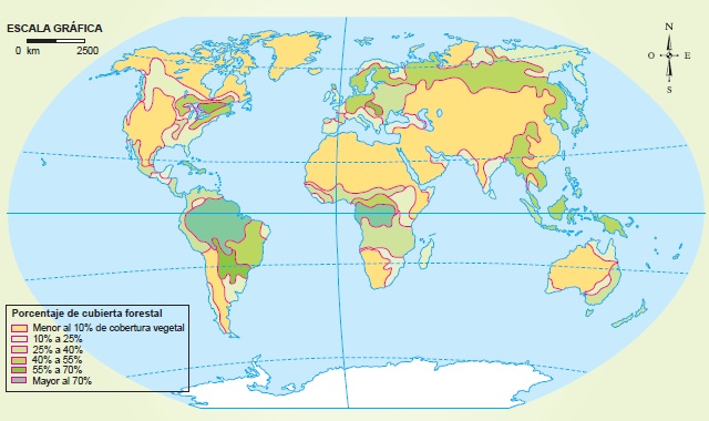 Mapamundi que muestra el estado actual de los bosques del planeta Mapamundi que muestra el estado actual de los bosques del planeta